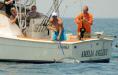 Jetty, Bay & Beach Fishing