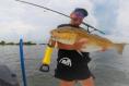Redfish 52 pounds