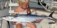 Amelia Island Kingfish